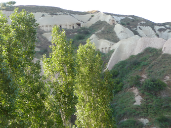 P1040553.JPG 3456x2592 index 309